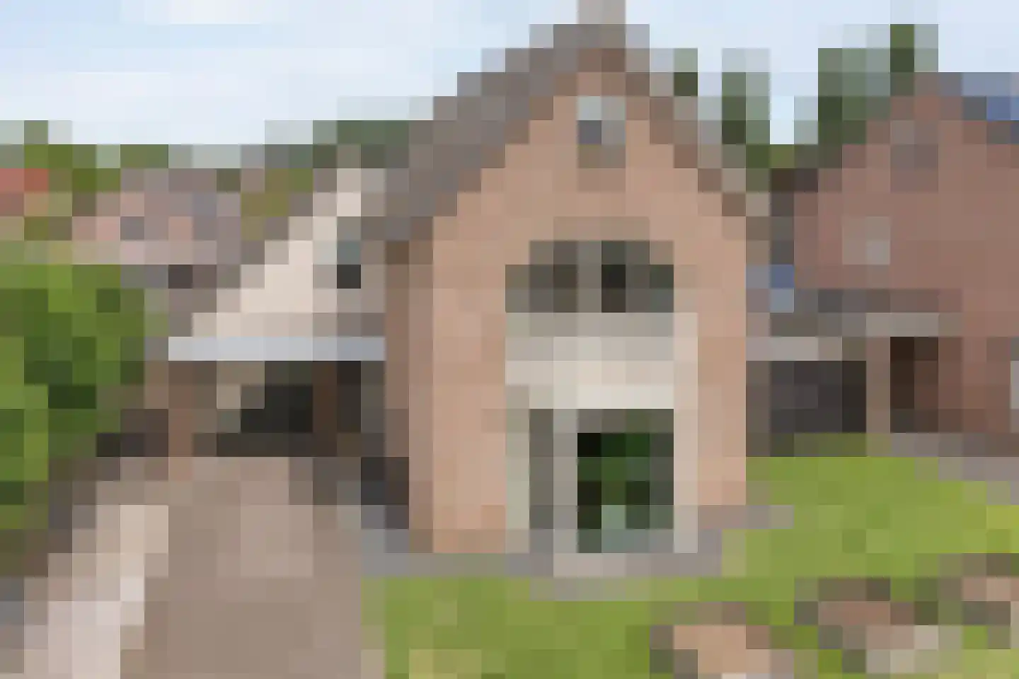 Turfslag 28 in Nieuwleusen