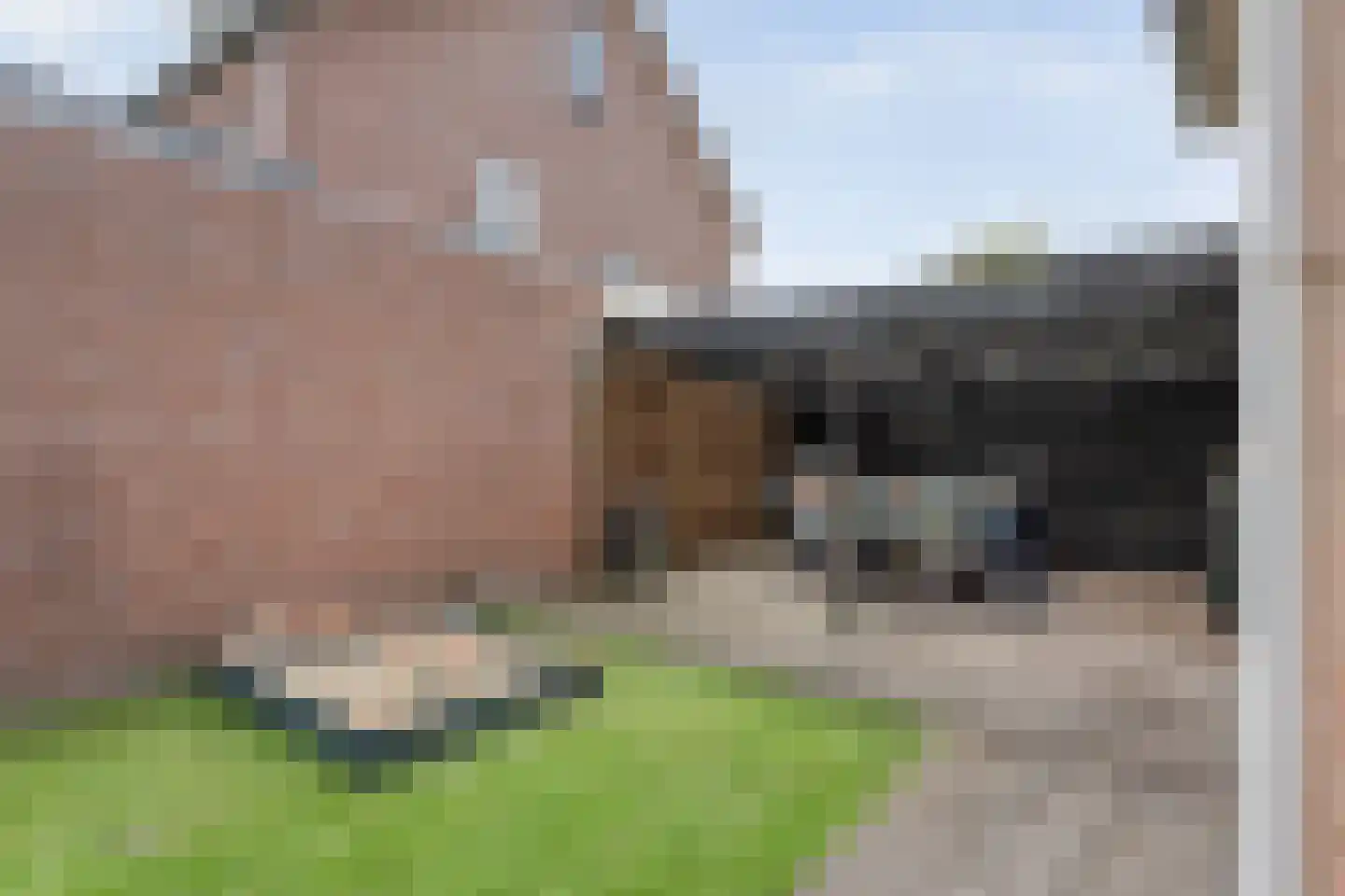 Turfslag 28 Nieuwleusen thumbnail 35