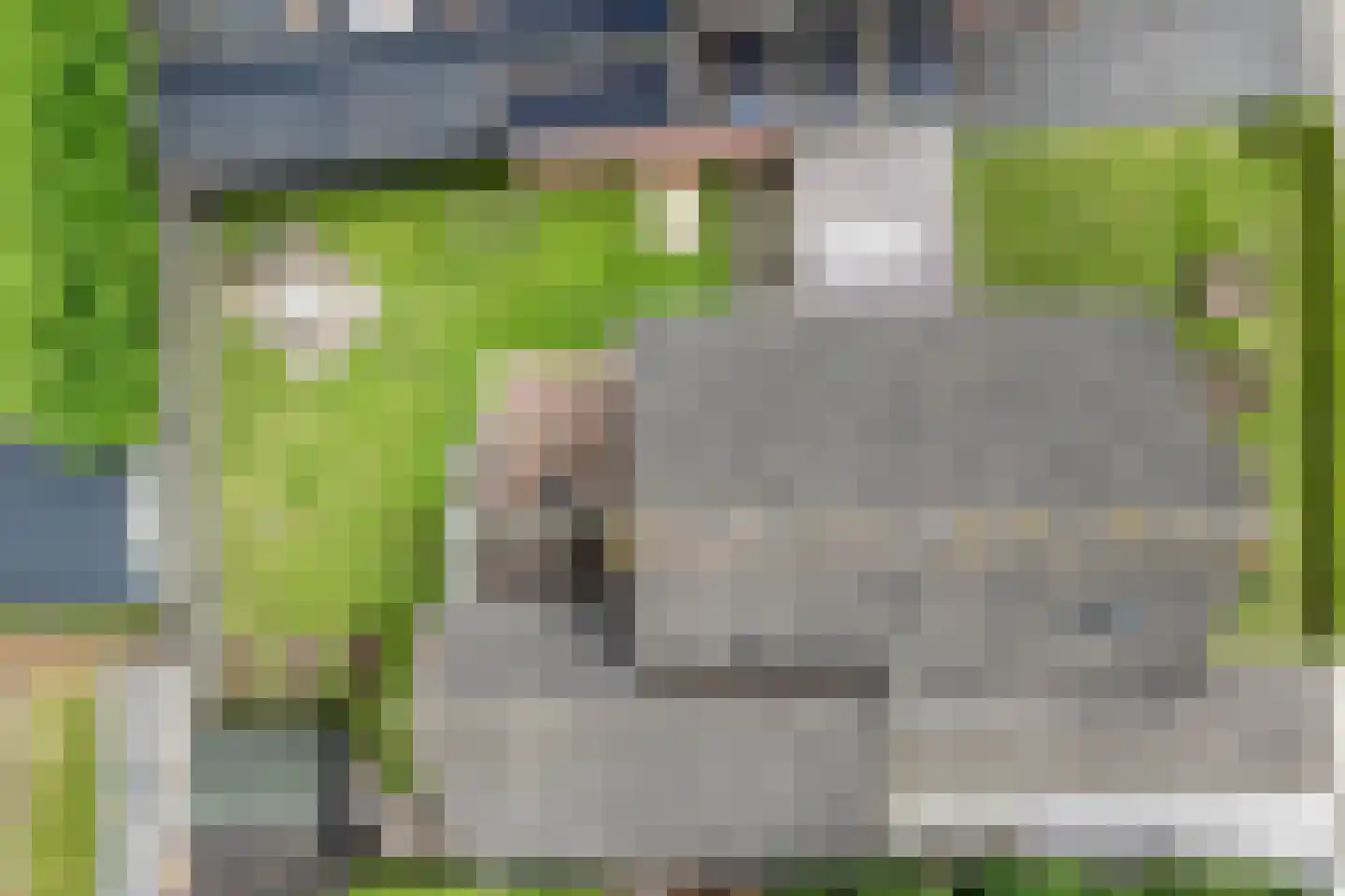 Turfslag 28 Nieuwleusen thumbnail 43