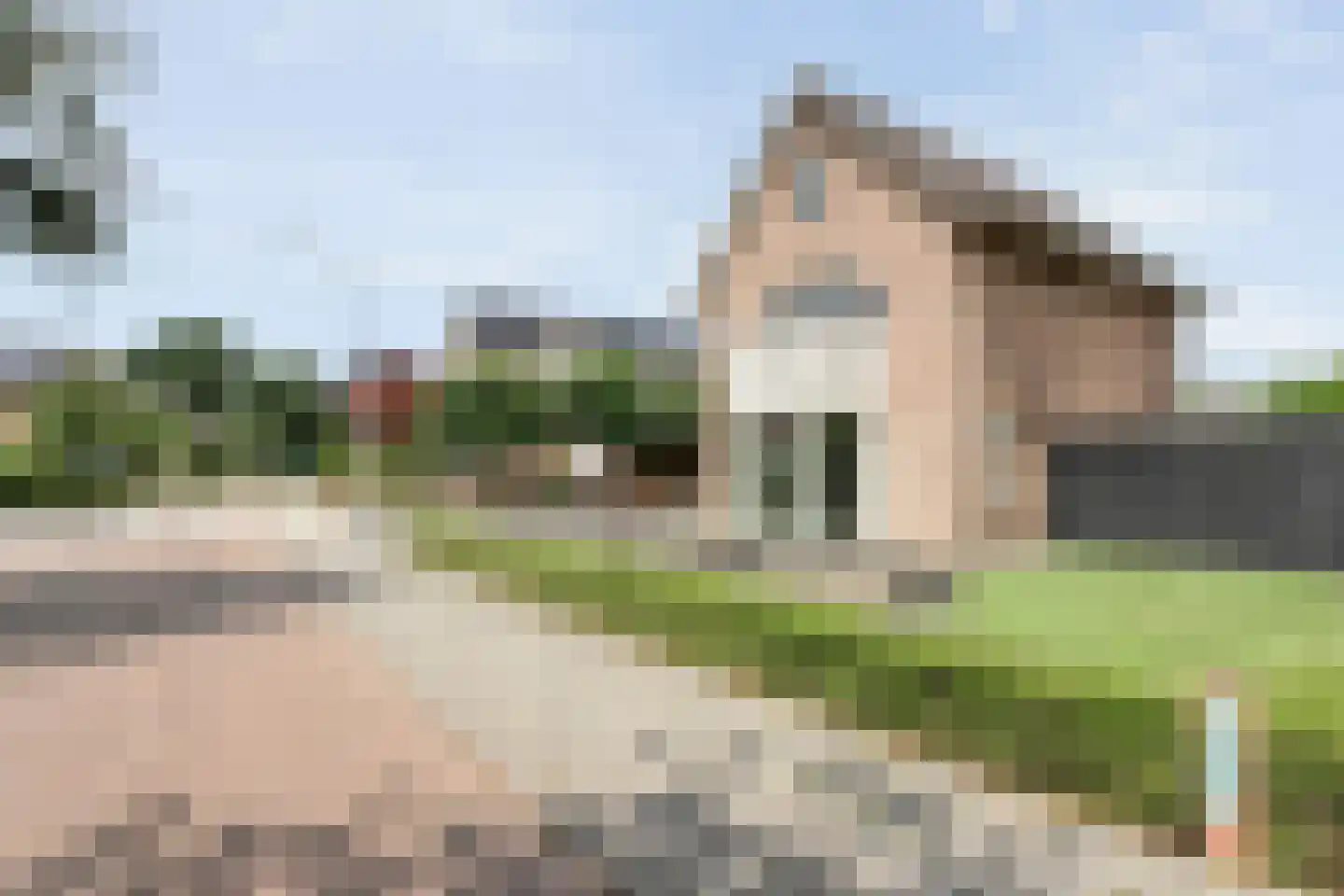 Turfslag 28 Nieuwleusen thumbnail 45