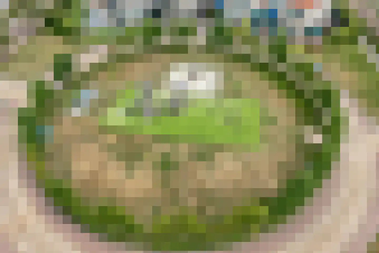 Turfslag 28 Nieuwleusen thumbnail 47