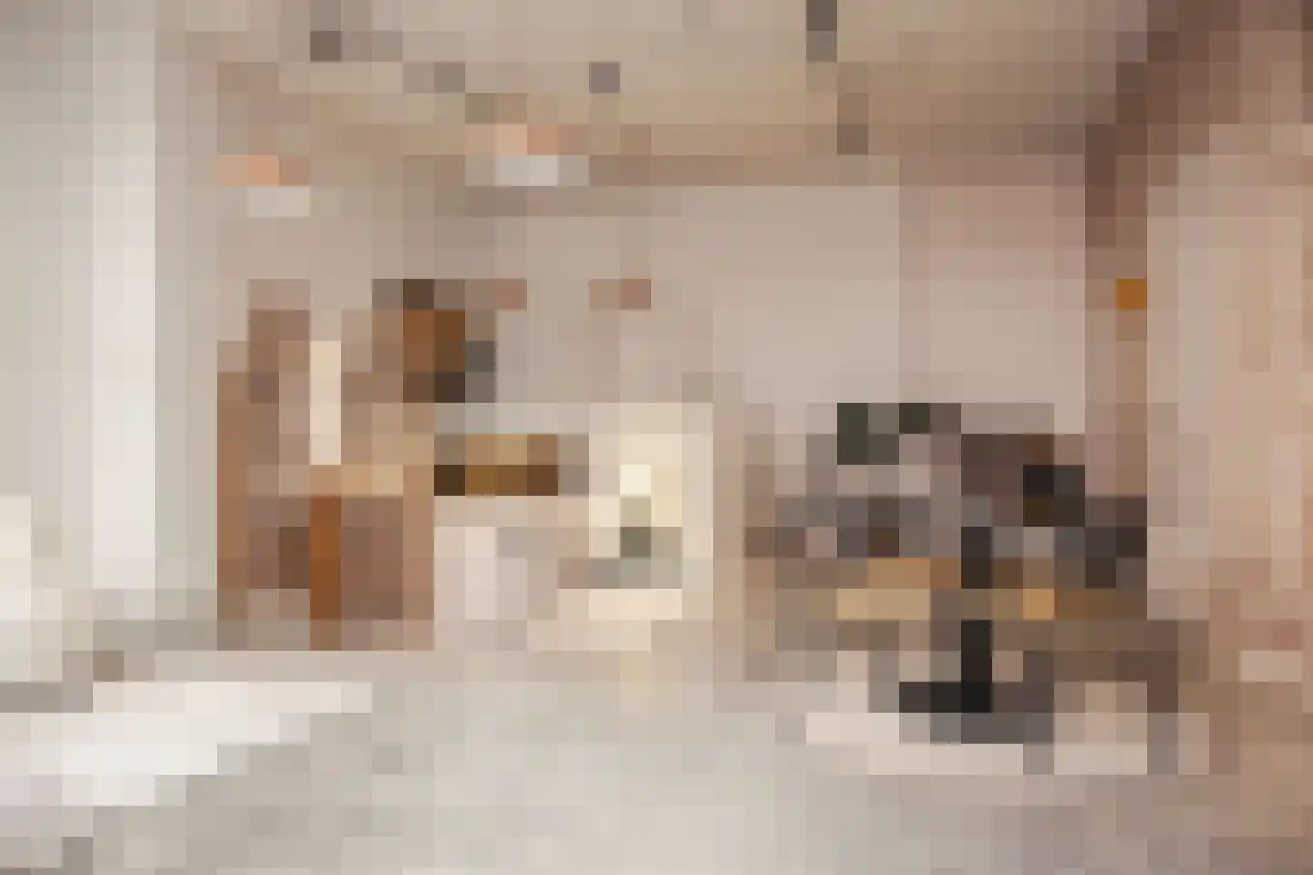 Turfsteeg 2 Haarlem thumbnail 10