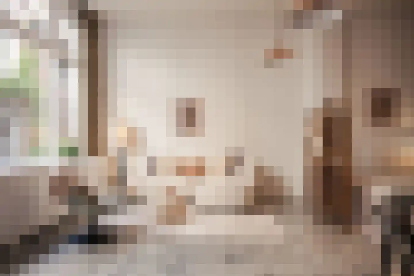 Turfsteeg 2 Haarlem thumbnail 6