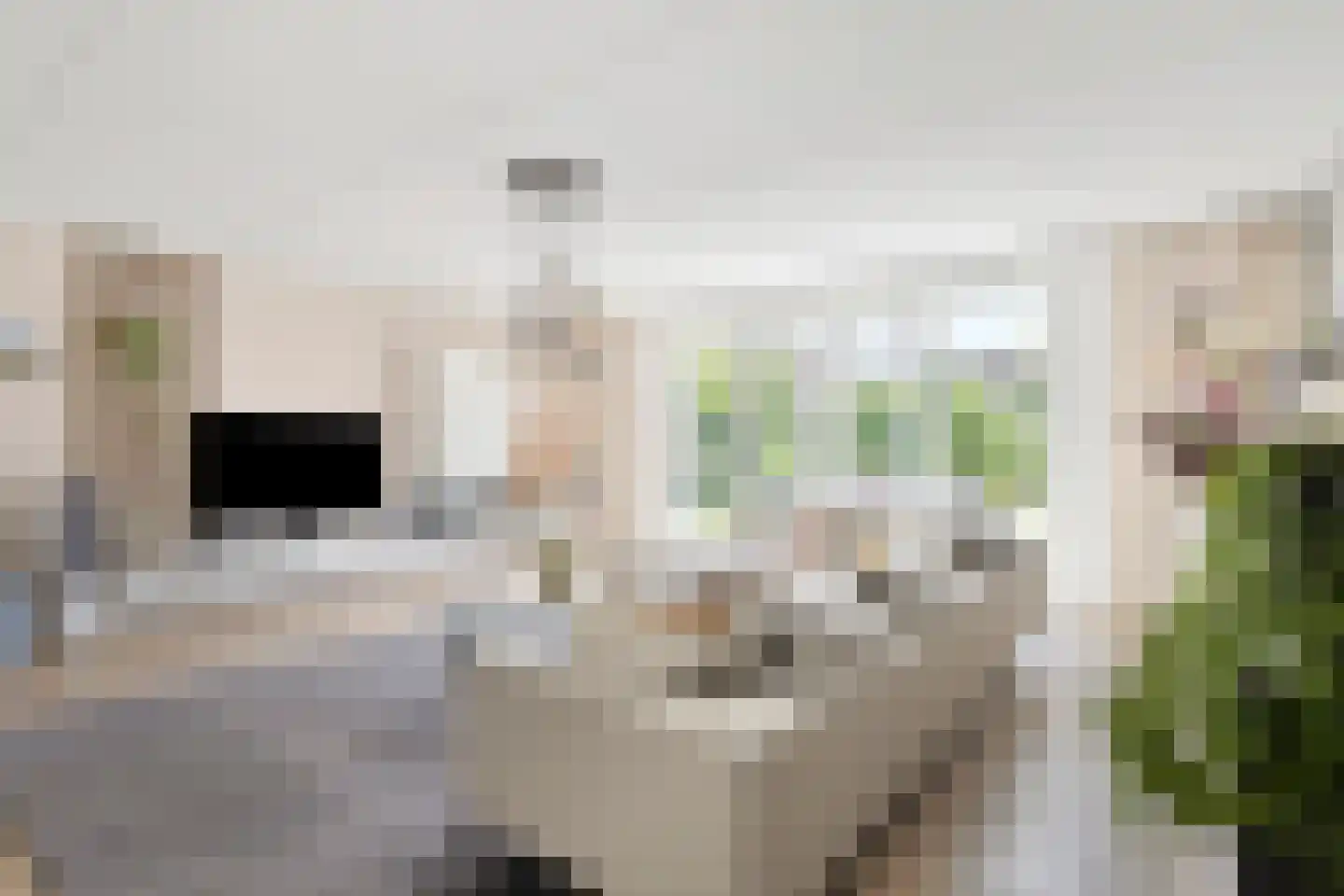 Turfsteker 1 Veenendaal thumbnail 11