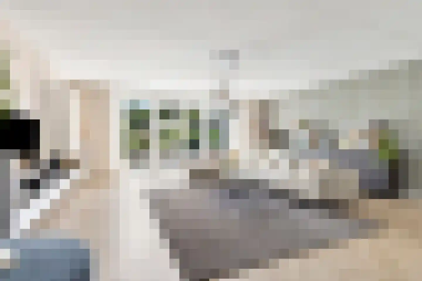 Turfsteker 1 Veenendaal thumbnail 12