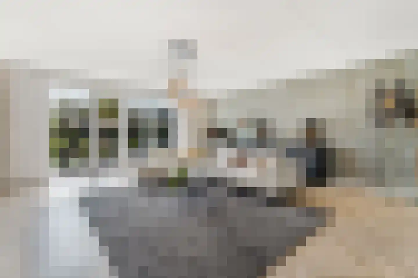 Turfsteker 1 Veenendaal thumbnail 12