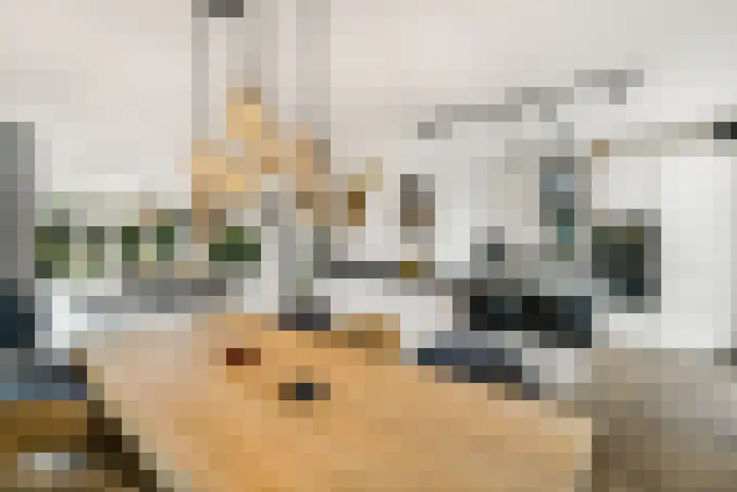 Turfsteker 1 Veenendaal thumbnail 17