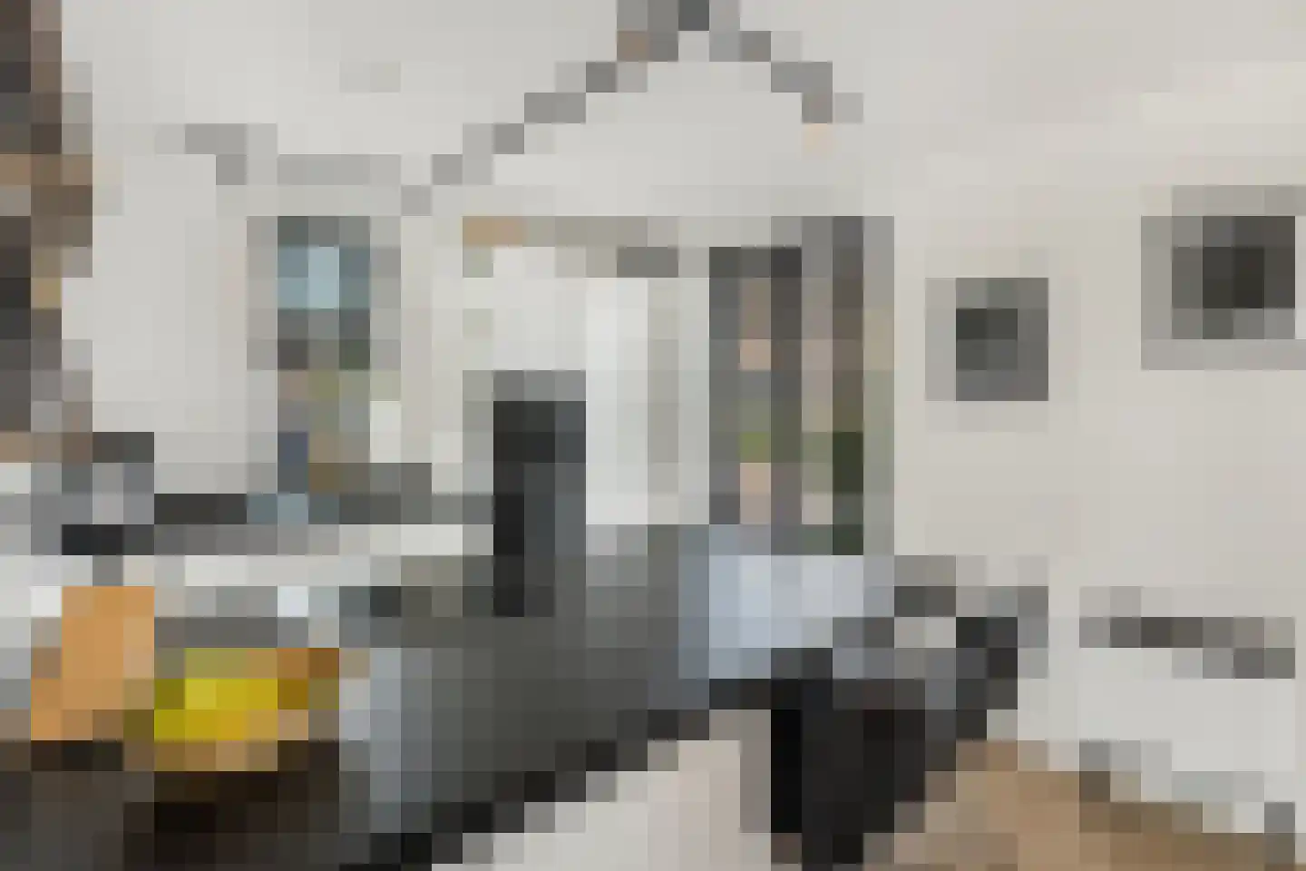 Turfsteker 1 Veenendaal thumbnail 18
