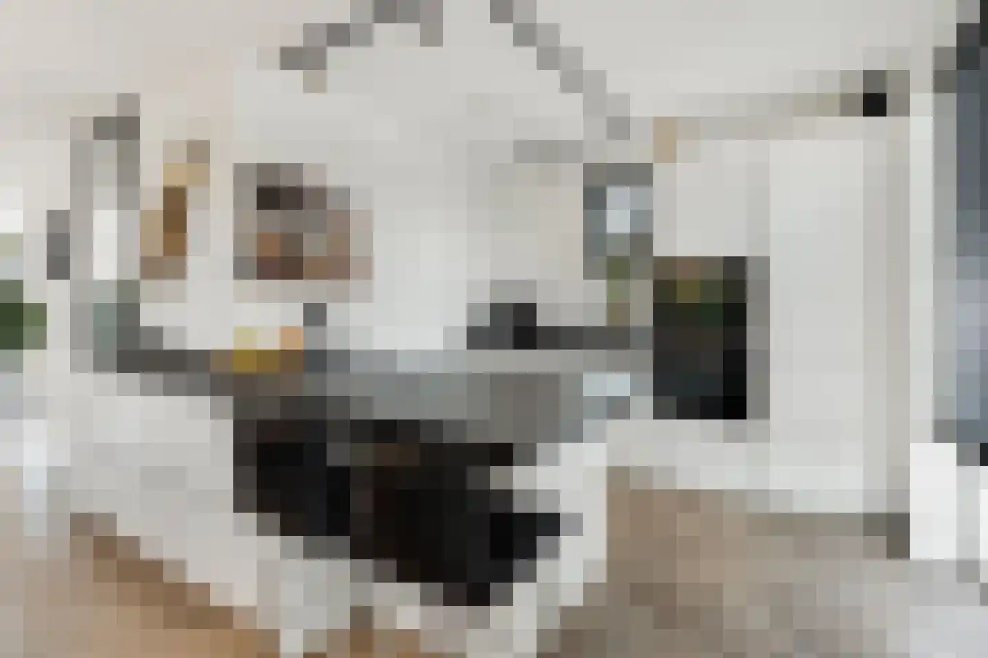 Turfsteker 1 Veenendaal thumbnail 19