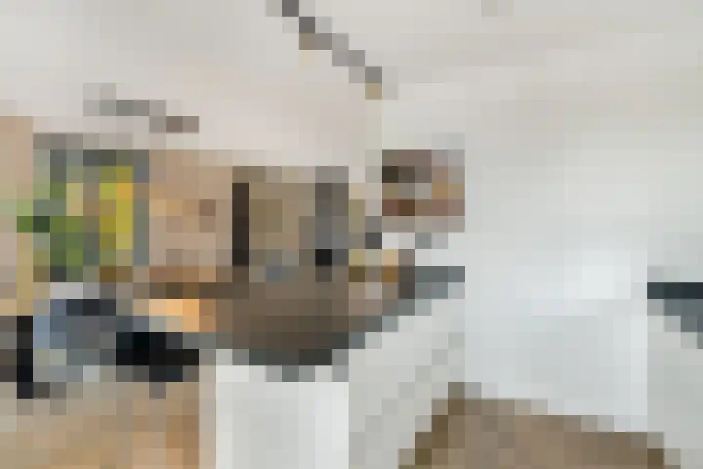 Turfsteker 1 Veenendaal thumbnail 20