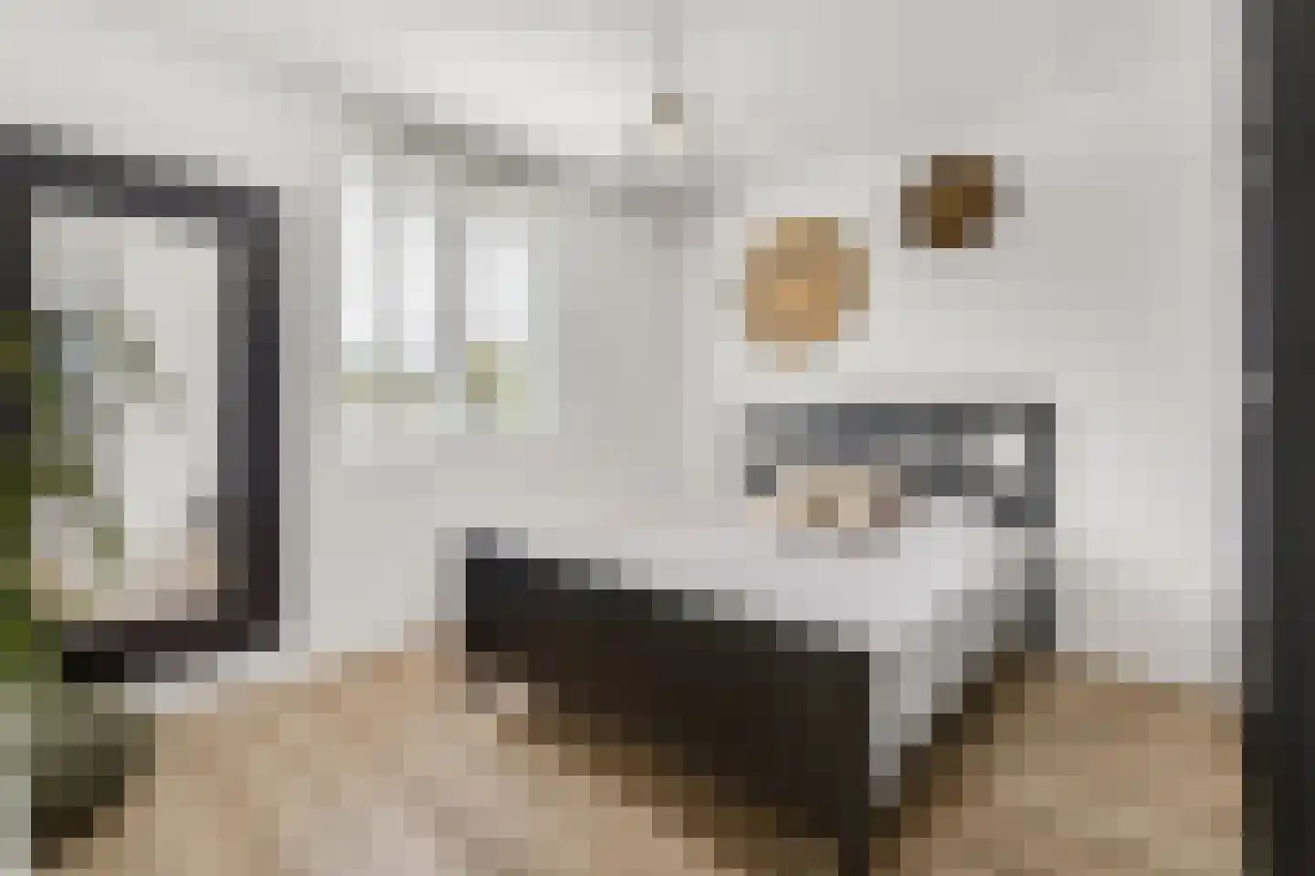 Turfsteker 1 Veenendaal thumbnail 24