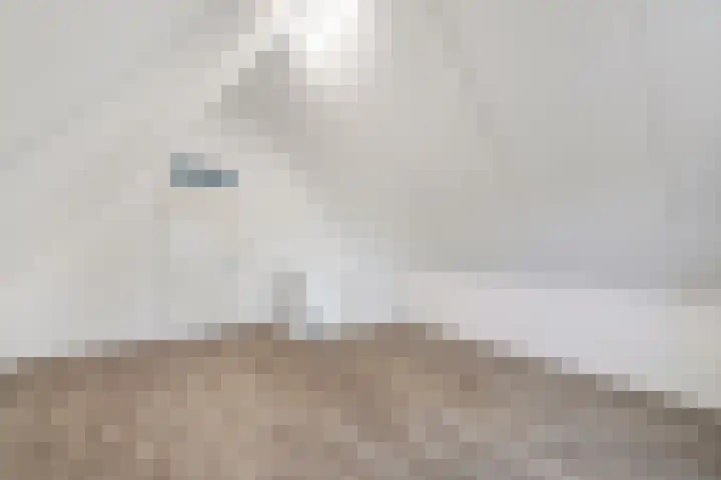 Turfsteker 1 Veenendaal thumbnail 35
