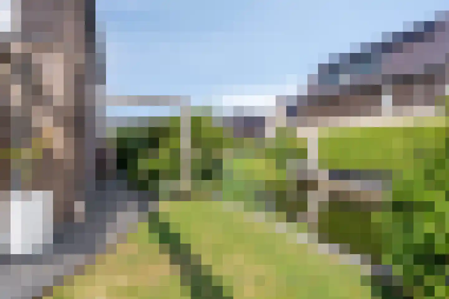 Turfsteker 1 Veenendaal thumbnail 37