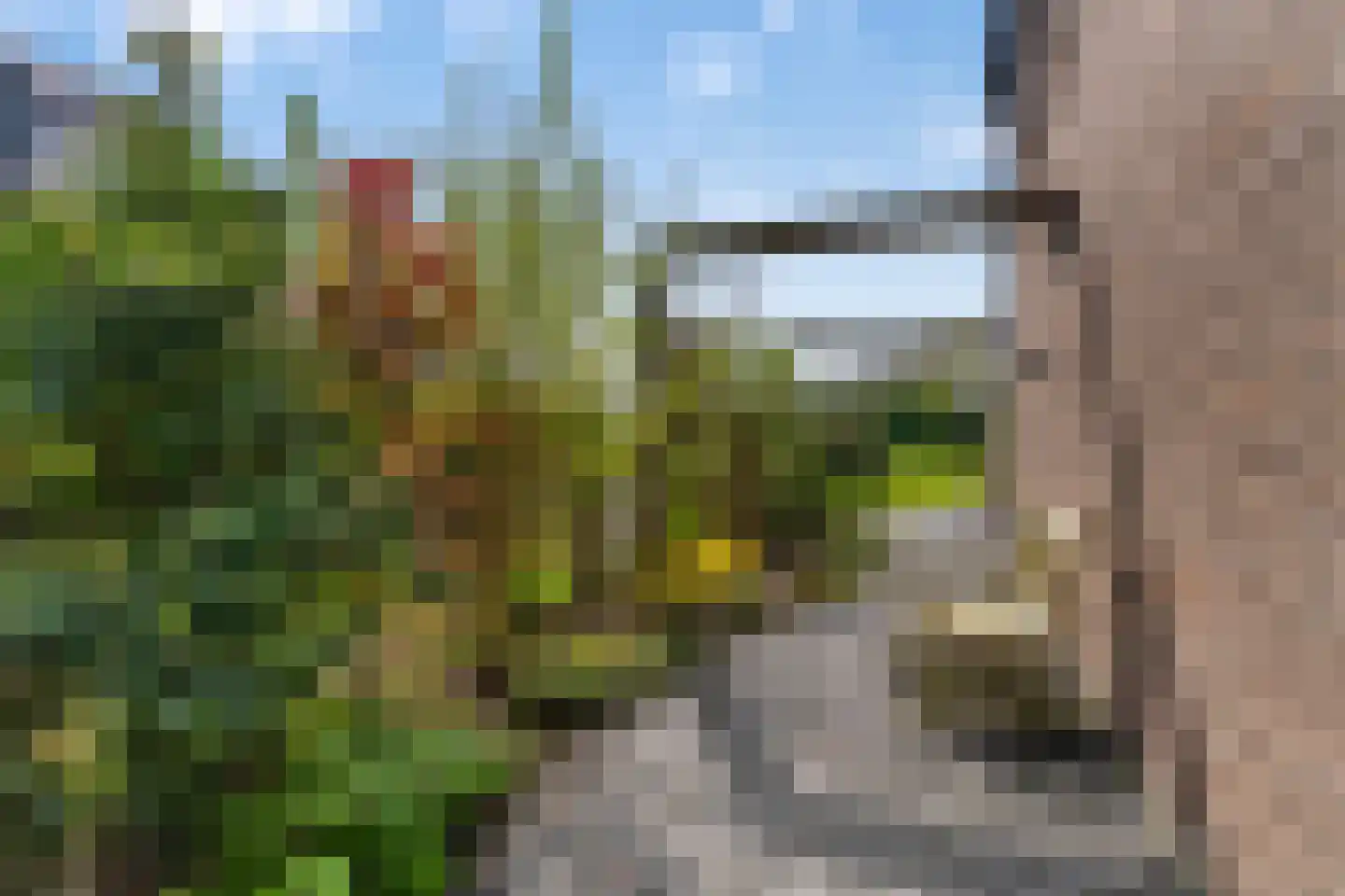 Turfsteker 1 Veenendaal thumbnail 38