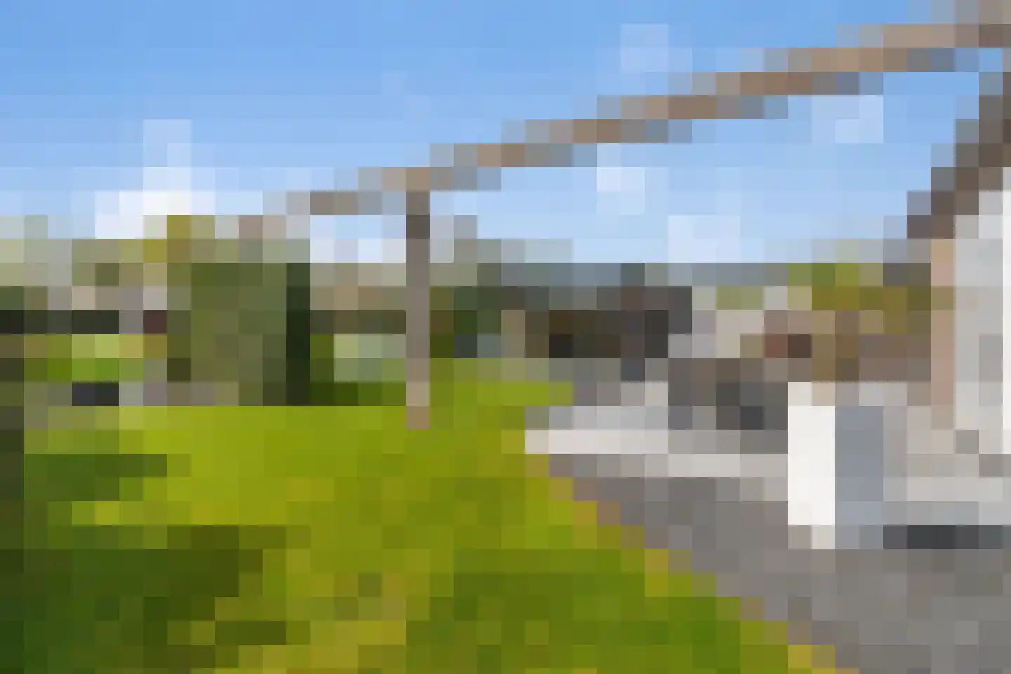 Turfsteker 1 Veenendaal thumbnail 39
