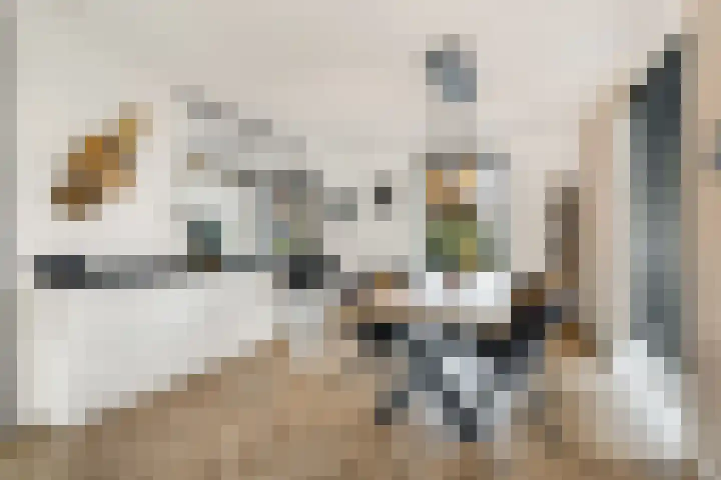 Turfsteker 1 Veenendaal thumbnail 4