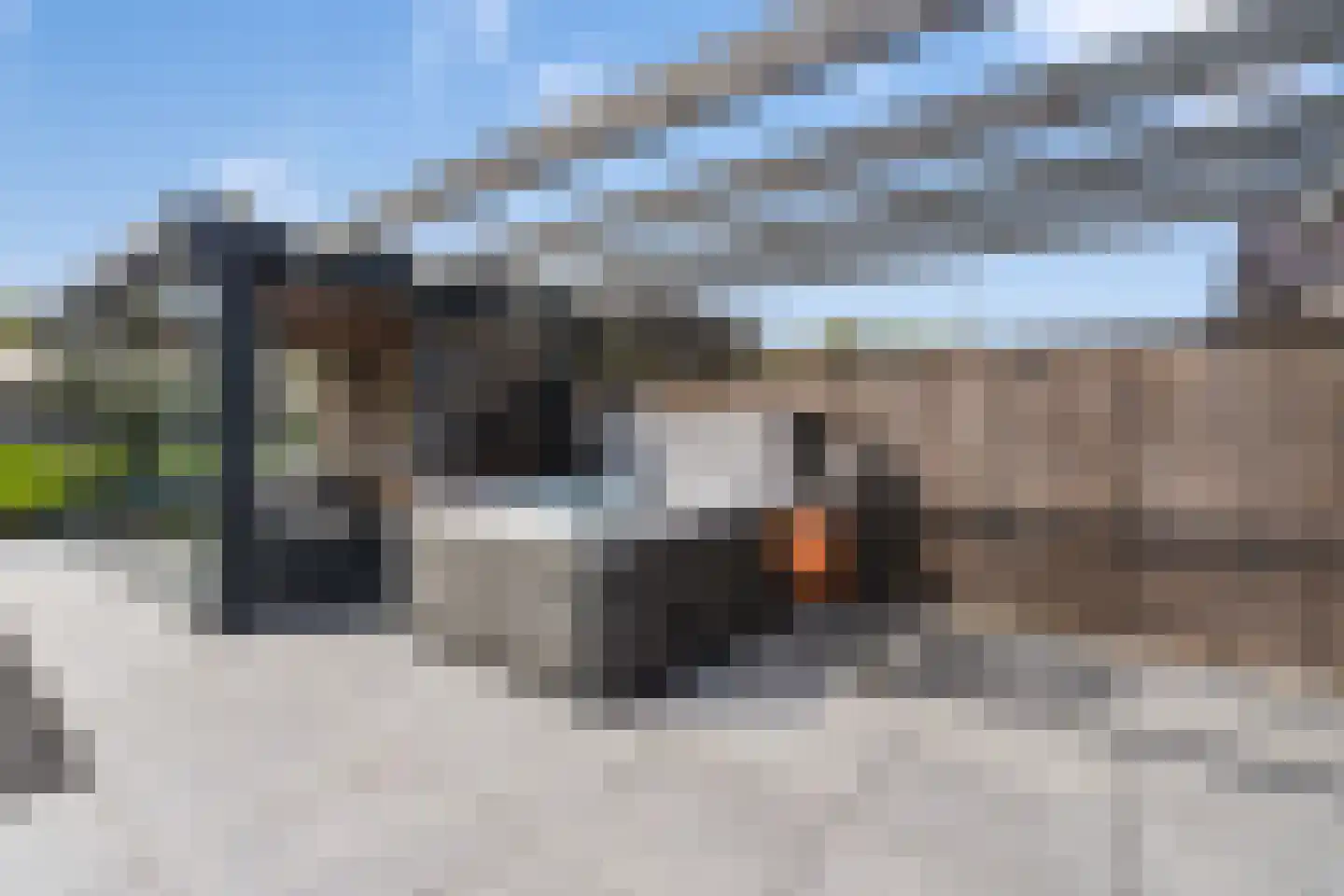 Turfsteker 1 Veenendaal thumbnail 43