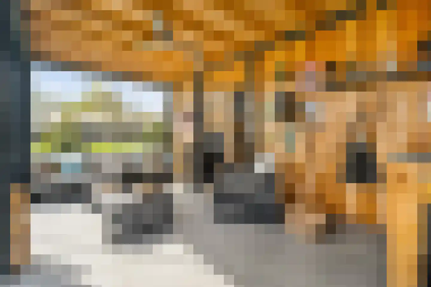 Turfsteker 1 Veenendaal thumbnail 44