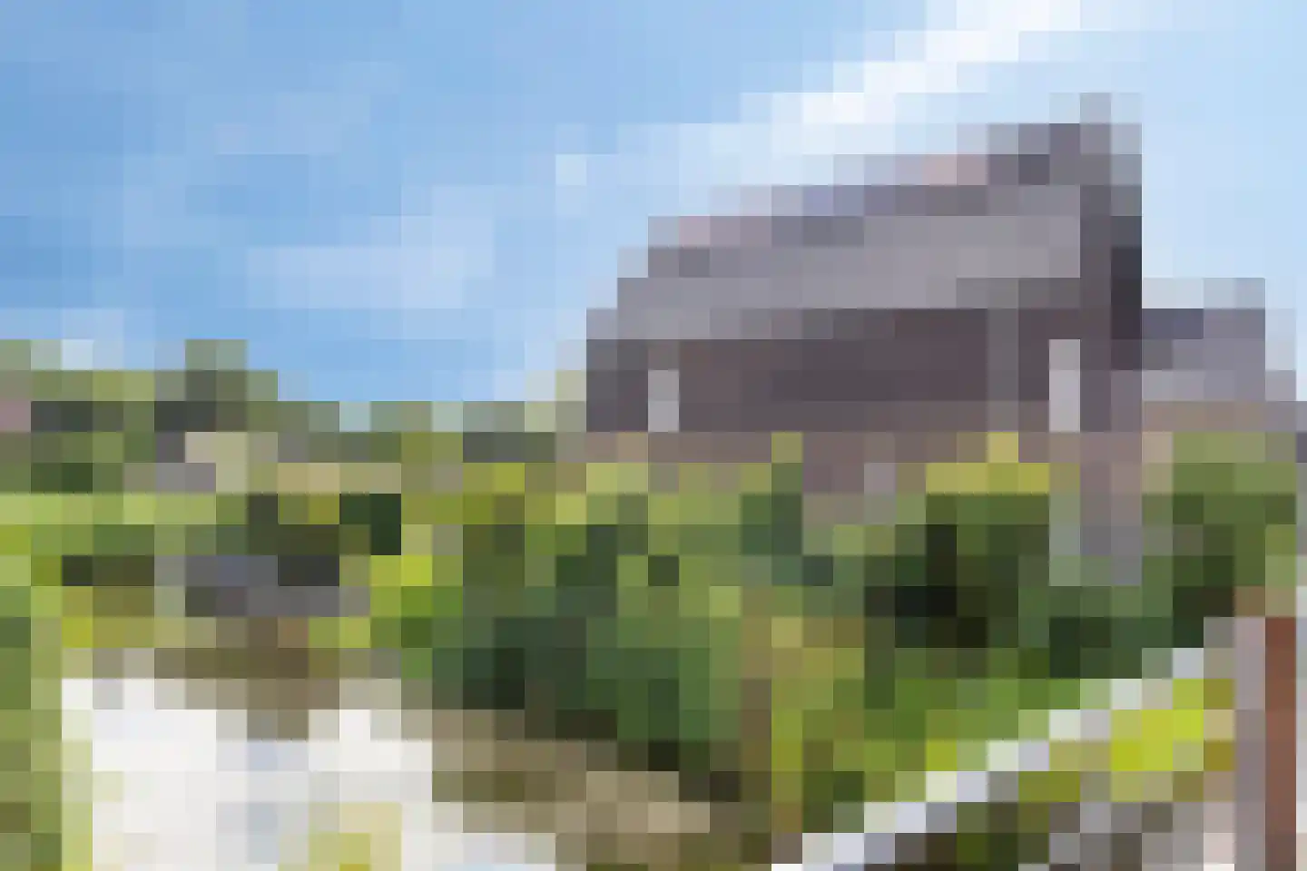 Turfsteker 1 Veenendaal thumbnail 48