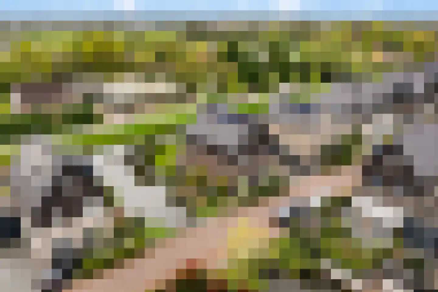 Turfsteker 1 Veenendaal thumbnail 49