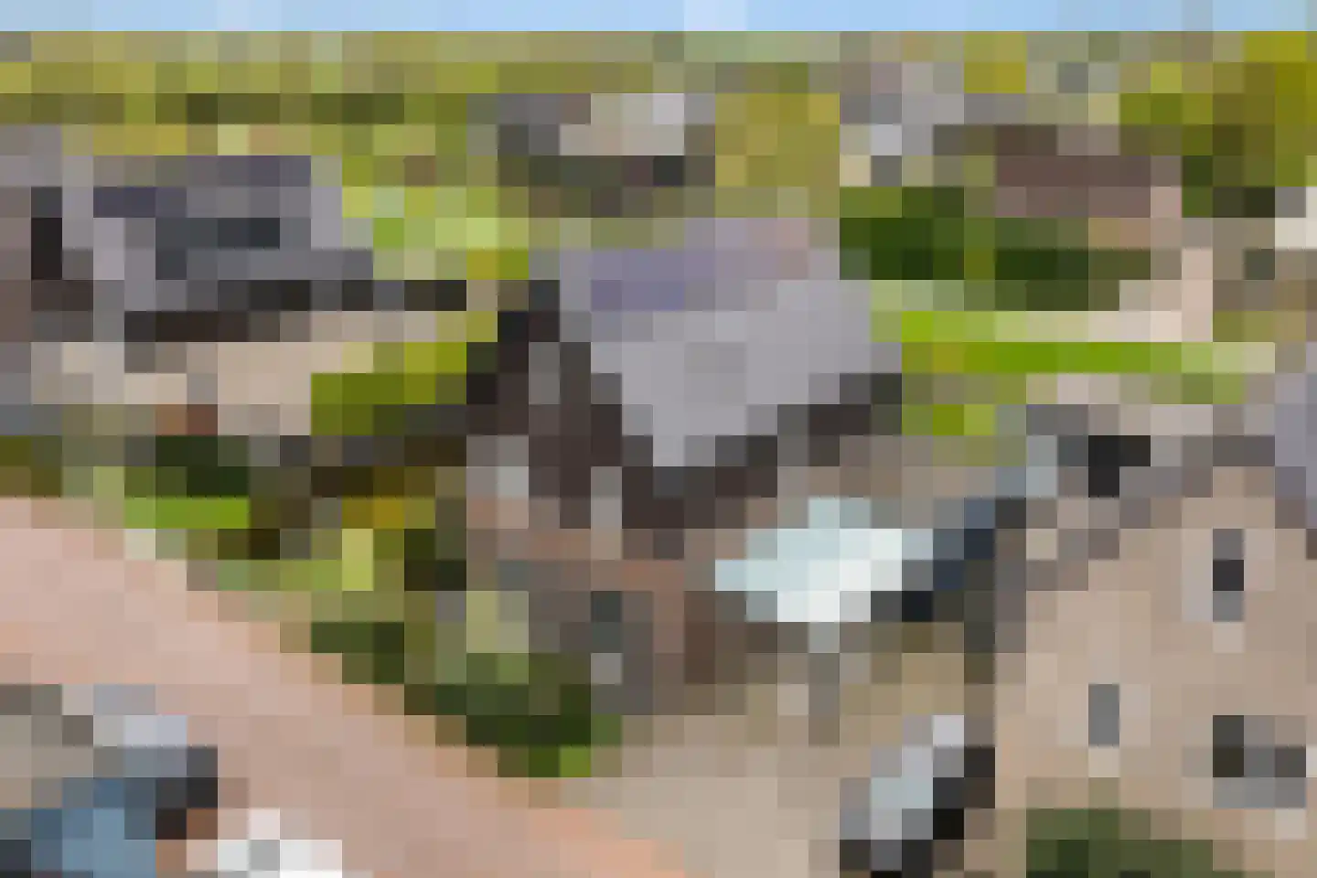 Turfsteker 1 Veenendaal thumbnail 50