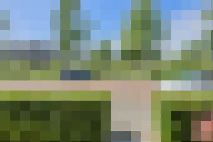 Turfsteker 12 Terheijden thumbnail 10