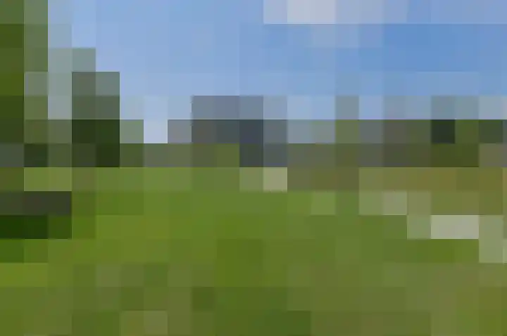 Turfsteker 12 Terheijden thumbnail 11