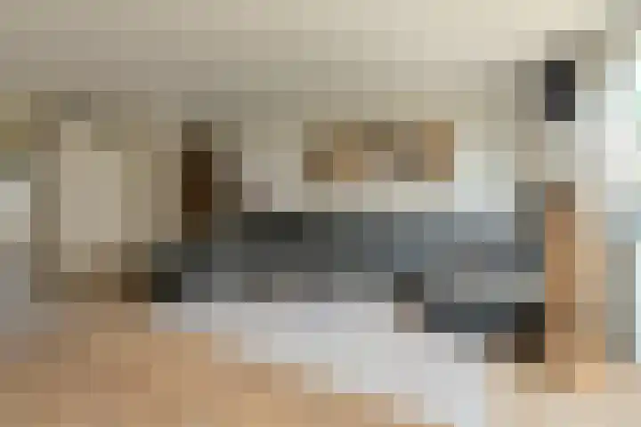 Turfsteker 12 Terheijden thumbnail 14