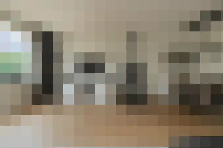 Turfsteker 12 Terheijden thumbnail 16
