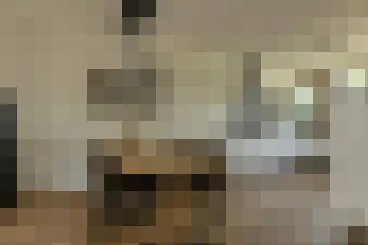 Turfsteker 12 Terheijden thumbnail 18