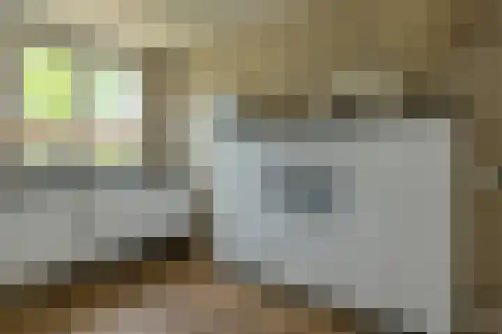 Turfsteker 12 Terheijden thumbnail 21