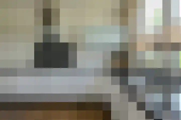 Turfsteker 12 Terheijden thumbnail 22