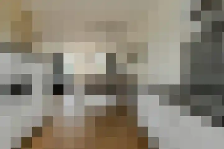 Turfsteker 12 Terheijden thumbnail 23