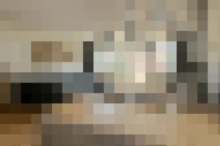 Turfsteker 12 Terheijden thumbnail 24