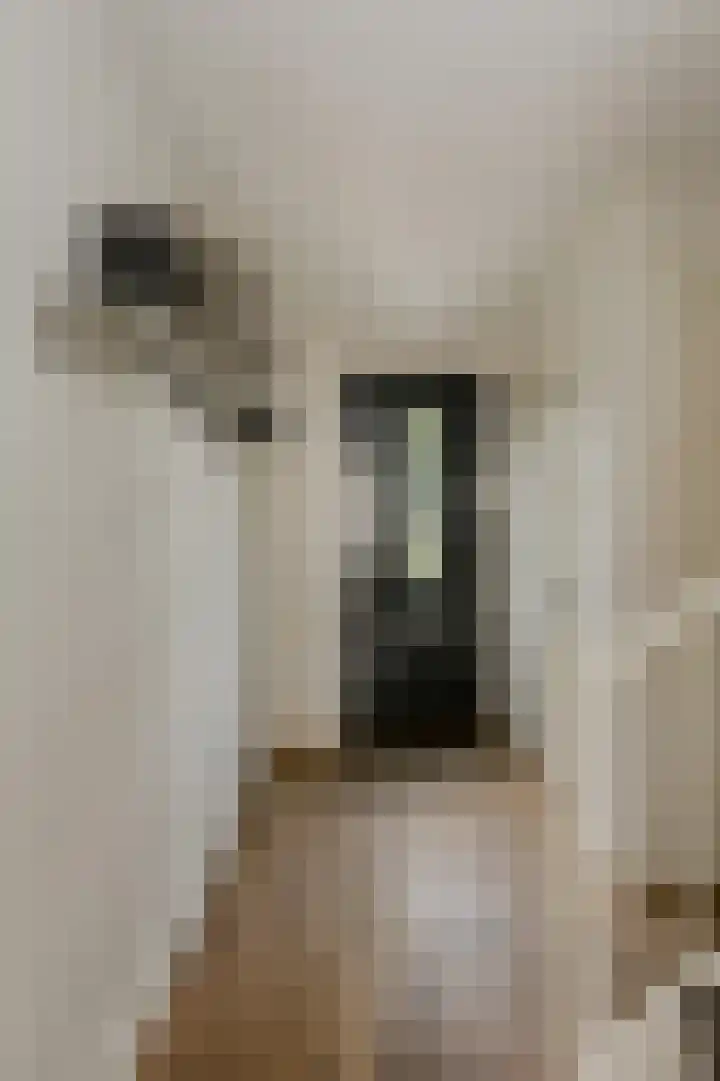 Turfsteker 12 Terheijden thumbnail 25