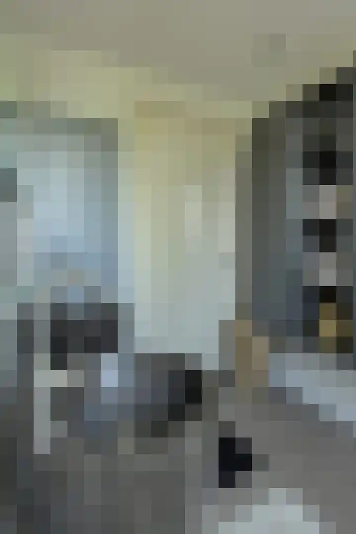 Turfsteker 12 Terheijden thumbnail 36