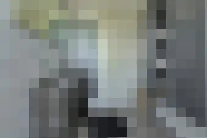 Turfsteker 12 Terheijden thumbnail 37
