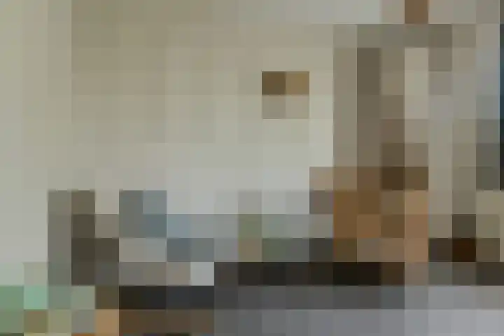 Turfsteker 12 Terheijden thumbnail 38