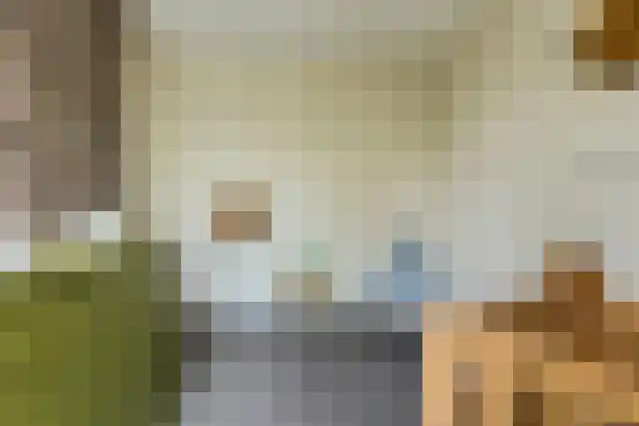 Turfsteker 12 Terheijden thumbnail 40