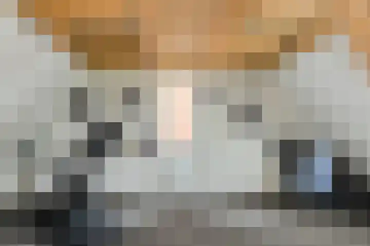 Turfsteker 12 Terheijden thumbnail 41