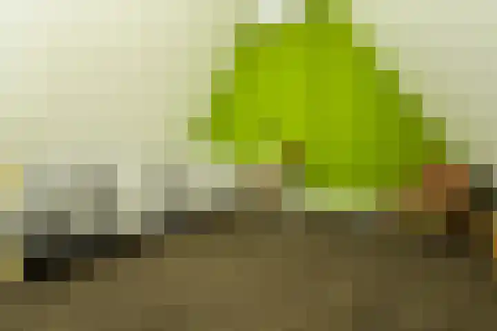 Turfsteker 12 Terheijden thumbnail 46