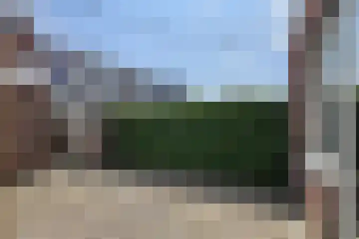 Turfsteker 12 Terheijden thumbnail 49