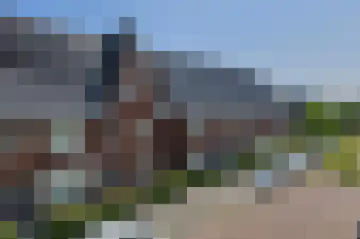 Turfsteker 12 Terheijden thumbnail 5