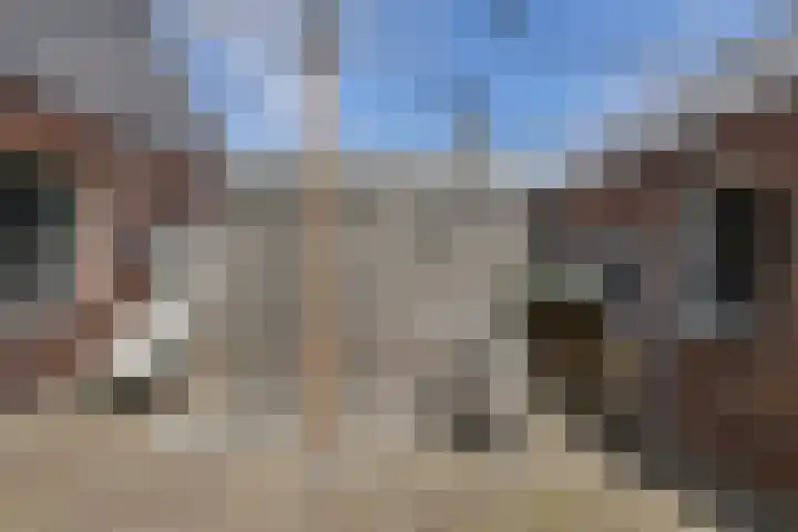 Turfsteker 12 Terheijden thumbnail 50