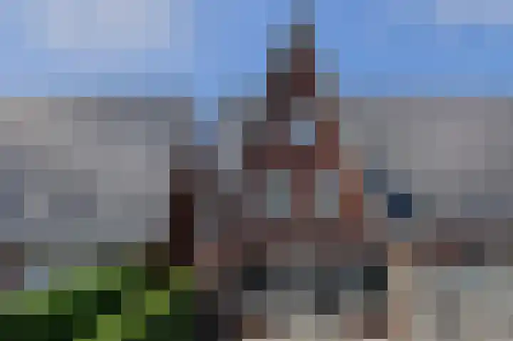 Turfsteker 12 Terheijden thumbnail 52