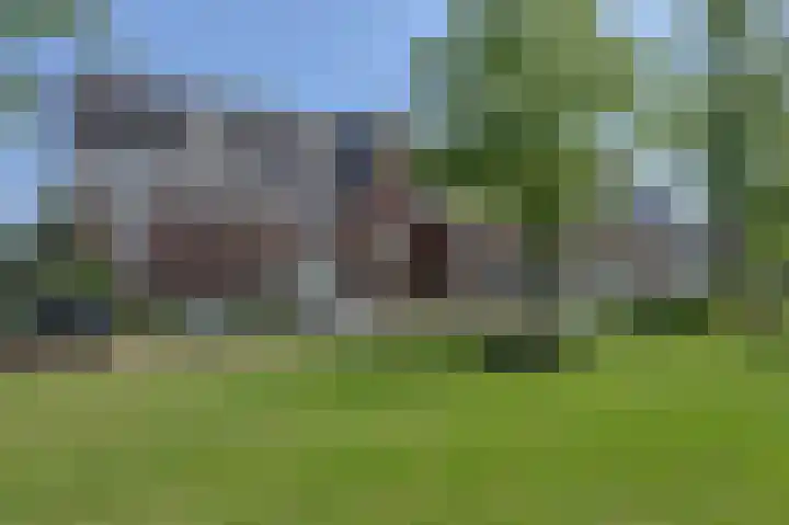 Turfsteker 12 Terheijden thumbnail 6