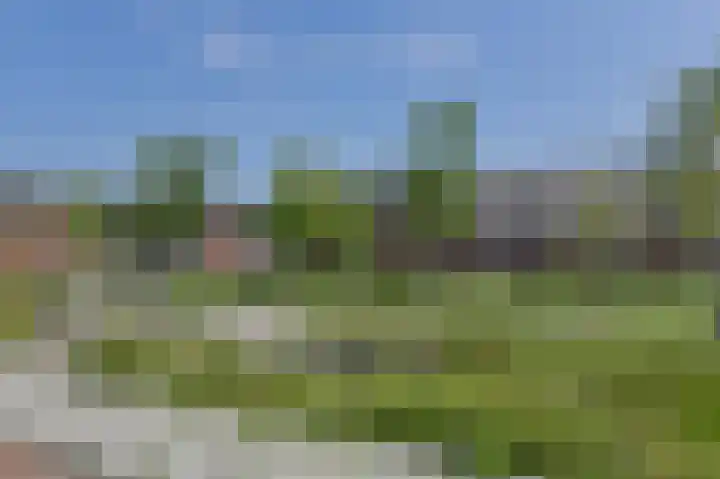 Turfsteker 12 Terheijden thumbnail 7