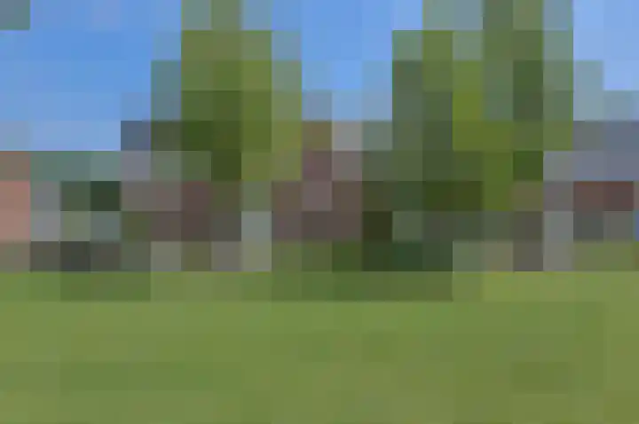Turfsteker 12 Terheijden thumbnail 8