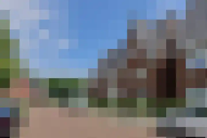 Turfsteker 12 Terheijden thumbnail 9