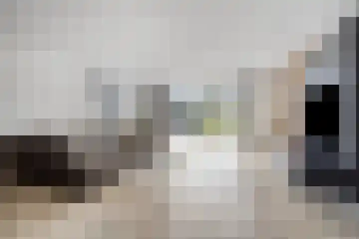 Turfsteker 3 Veenendaal thumbnail 10